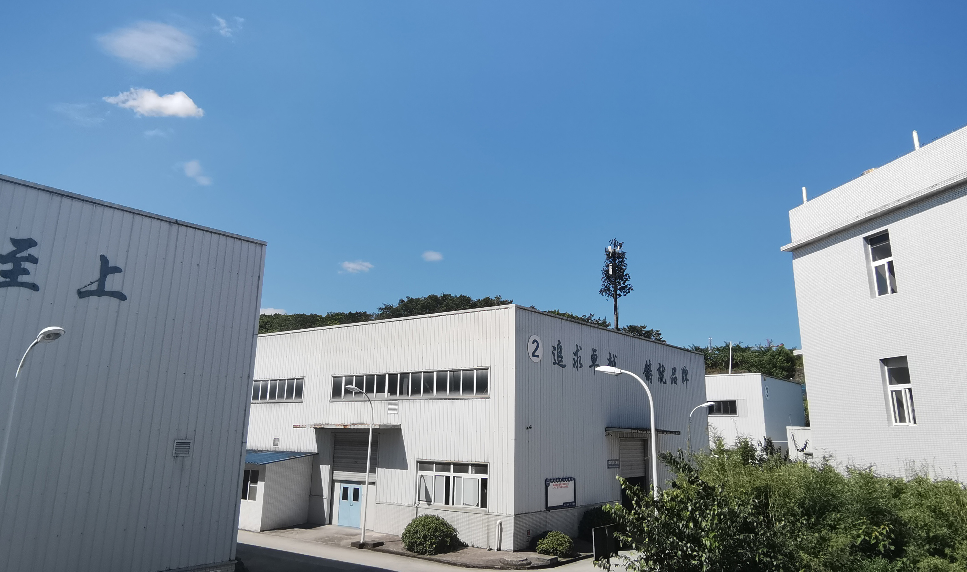 香港金钥匙资料